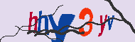 Kód CAPTCHA